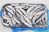 Iwashi herring export from Russia msc fish Sankt-Peterburg