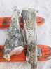 Catfish frozen export from Russia Murmansk