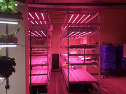 Vertical farming systems for sale Sankt-Peterburg