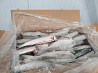 Wild caught pink salmon export from Russia Sankt-Peterburg