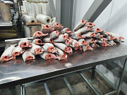Pacific wild caught salmon IQF export from Russia Federation Sankt-Peterburg