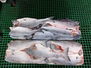 Wild salmon product of Russia wholesale russian food distributors Vladivostok