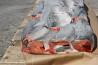 MSC Fish wild pink salmon from Russia Sankt-Peterburg