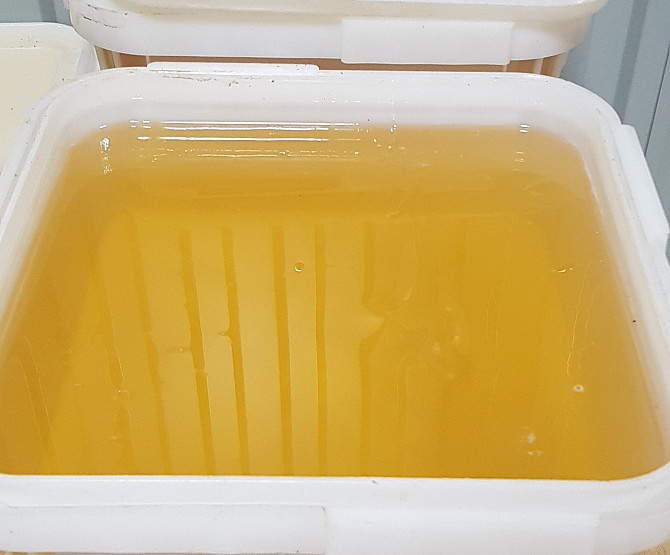 Pure eco natural raw organic honey worldwide export Санкт-Петербург - изображение 1