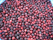Сranberry Karelian Berries Direct frm Russia Worldwide Delivery Petrozavodsk