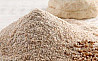 Whole grain rye flour bulk sales from Russia Sankt-Peterburg