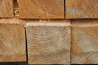 Wholesale lumber companies from Russia Sankt-Peterburg