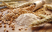 Buckwheat flour bulk sales from producer Sankt-Peterburg