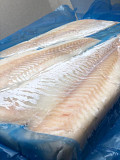 Atlantic ocean frozen fish supplier whiting frozen fish Sankt-Peterburg