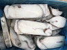 Fish Steak Catfish Fish Wholesales from Russian Sankt-Peterburg
