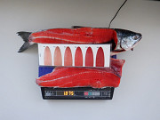 Alaskan salmon wild fish supply export import Sankt-Peterburg
