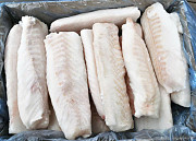 Cod loin Atlantic fish frozen fish fillets export fish from Russian Federation High Quality Sankt-Peterburg