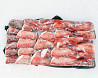 Sea bass from Murmansk Atlantic Quality fish whosales worldwide delivery seafood Sankt-Peterburg