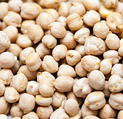 Chickpeas Turkish peas from Altai Russia grain and beans export best quality Gorno-Altaysk