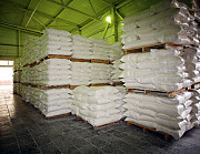 Peeled rye flour whosales from Russia export products made in Russia best quality grain flour Sankt-Peterburg