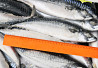 Atlantic Mackerel 400-600 gramm Russian Fish Seafood fast delivery Good Quality Sankt-Peterburg