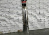 Wholesale sugar products Sankt-Peterburg