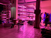 Vertical farming startup Sankt-Peterburg