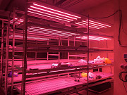 Indoor smart farm Sankt-Peterburg