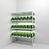 Indoor micro farming Санкт-Петербург