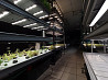 Hydroponic farming architecture Moscow