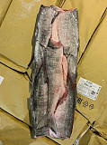 Wild arctic keta salmon Владивосток