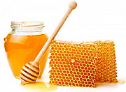 Pure raw honey bulk Sankt-Peterburg