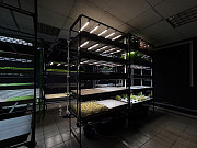 Vertical plant growers Санкт-Петербург