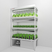 Vertical farming stocks Sankt-Peterburg