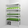 Vertical farming stocks Санкт-Петербург