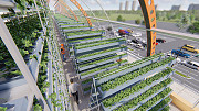 Vertical farming opportunities Sankt-Peterburg