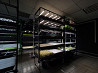 Vertical farming business plan Sankt-Peterburg