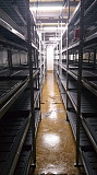 Industrial hydroponic farming Moscow