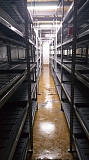 Commercial hydroponic farming Moscow
