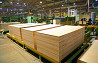 Plywood 9 mm Sankt-Peterburg